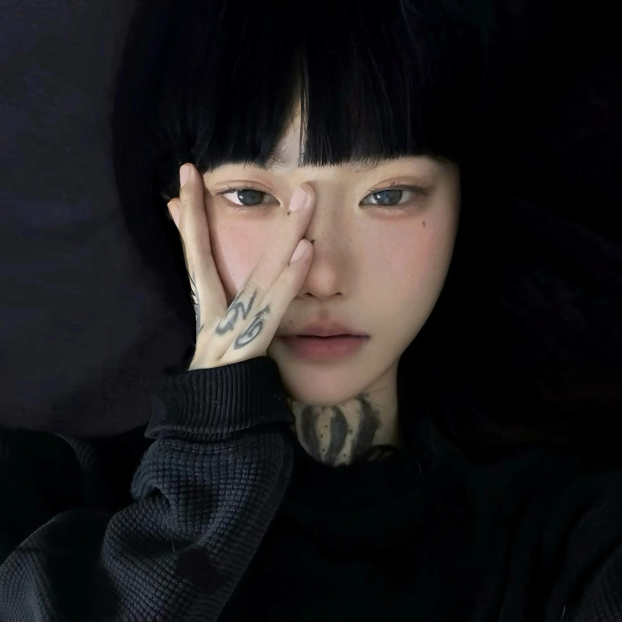 好枝长恨无人寄
