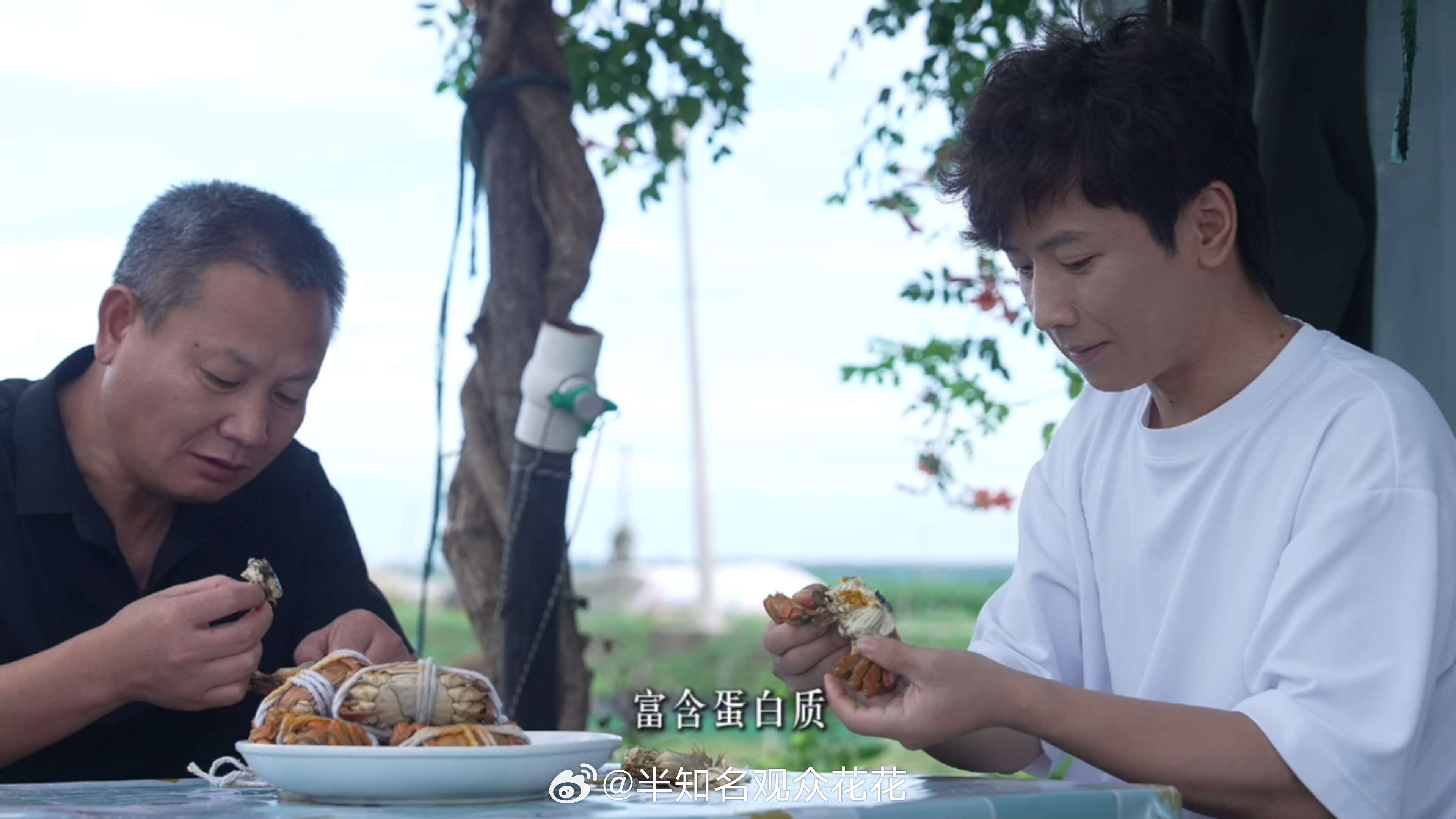 南翔用一万只螃蟹壳做出了鳌胶南翔你轻点卷，太厉害了我只能说[祈祷]，这哪是美食视