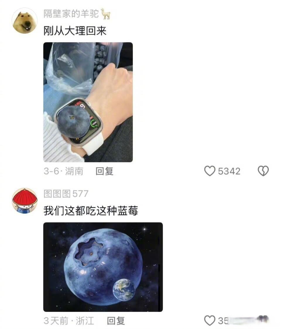 超大蓝莓好吃吗？ 