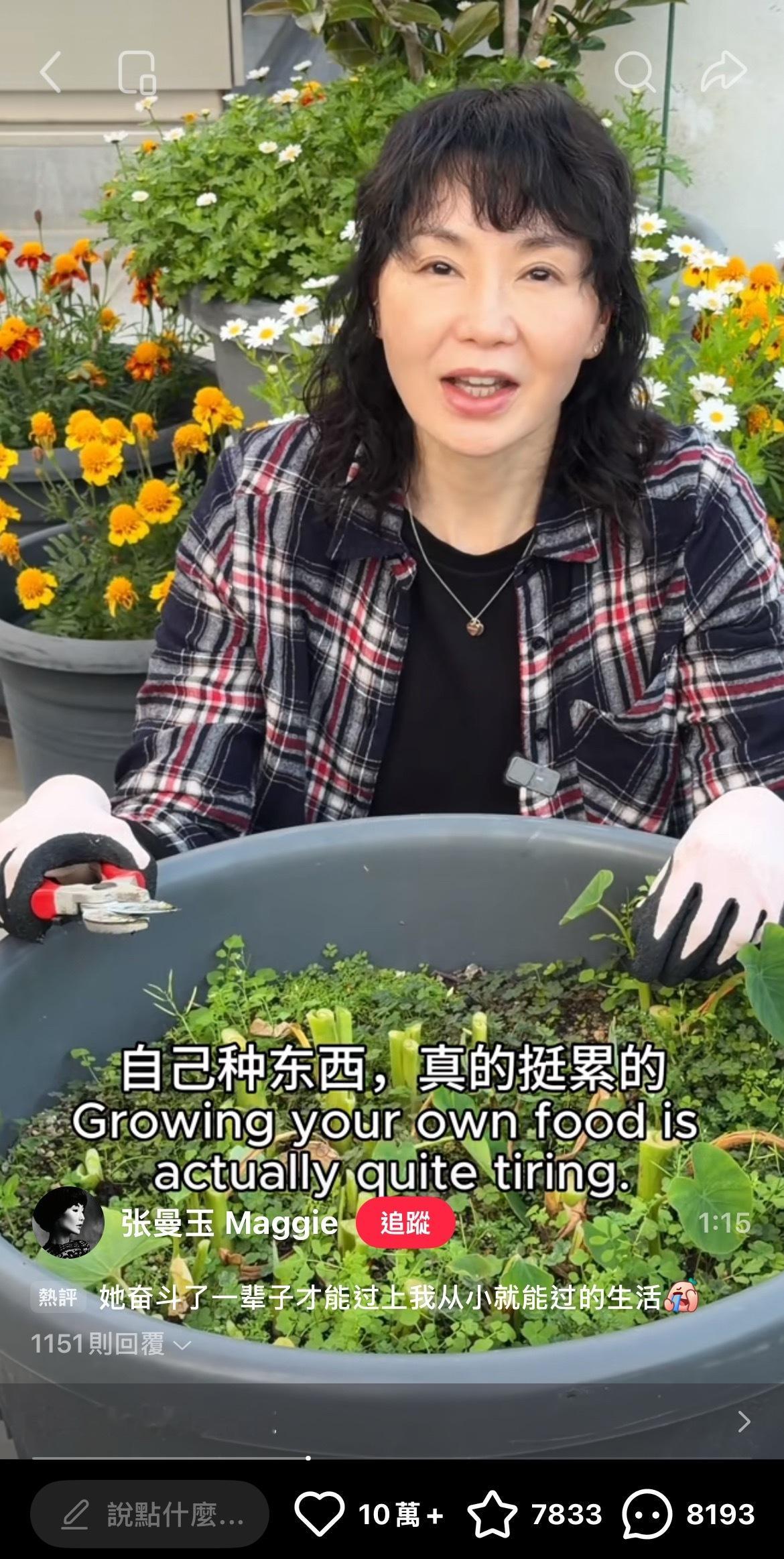香港李子柒 