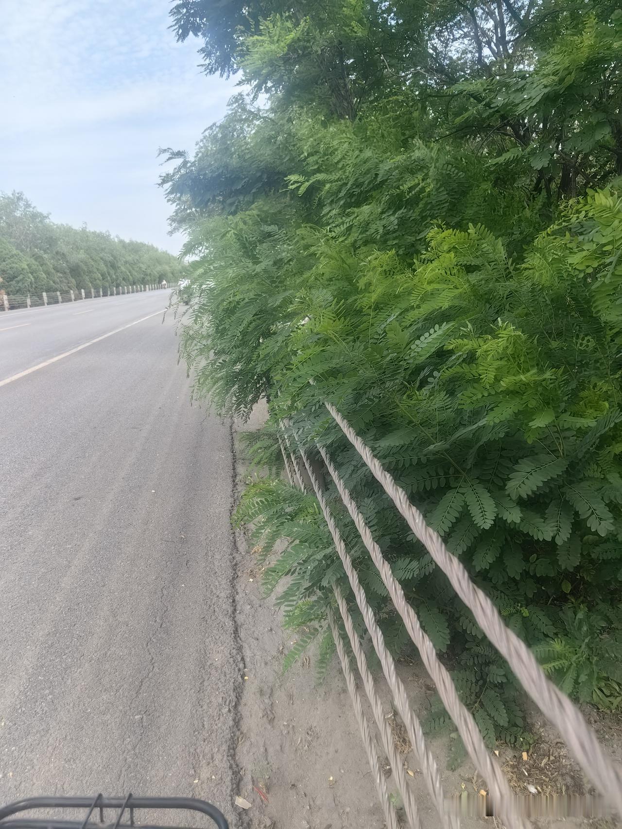 今天把瘫痪老公安顿好，我就骑车去看望妈妈了，我现在最担心的就是我妈妈了，让她来我