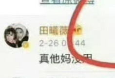 田曦薇到底要找啥