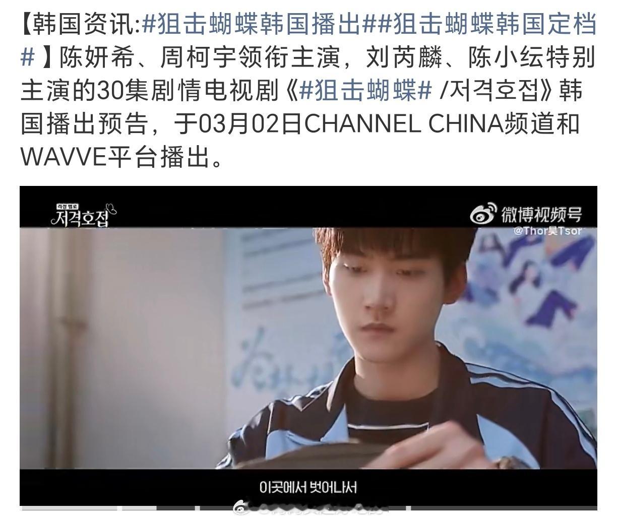 周柯宇《狙击蝴蝶》即将在韩国播出李雾和好剧一起走出国门