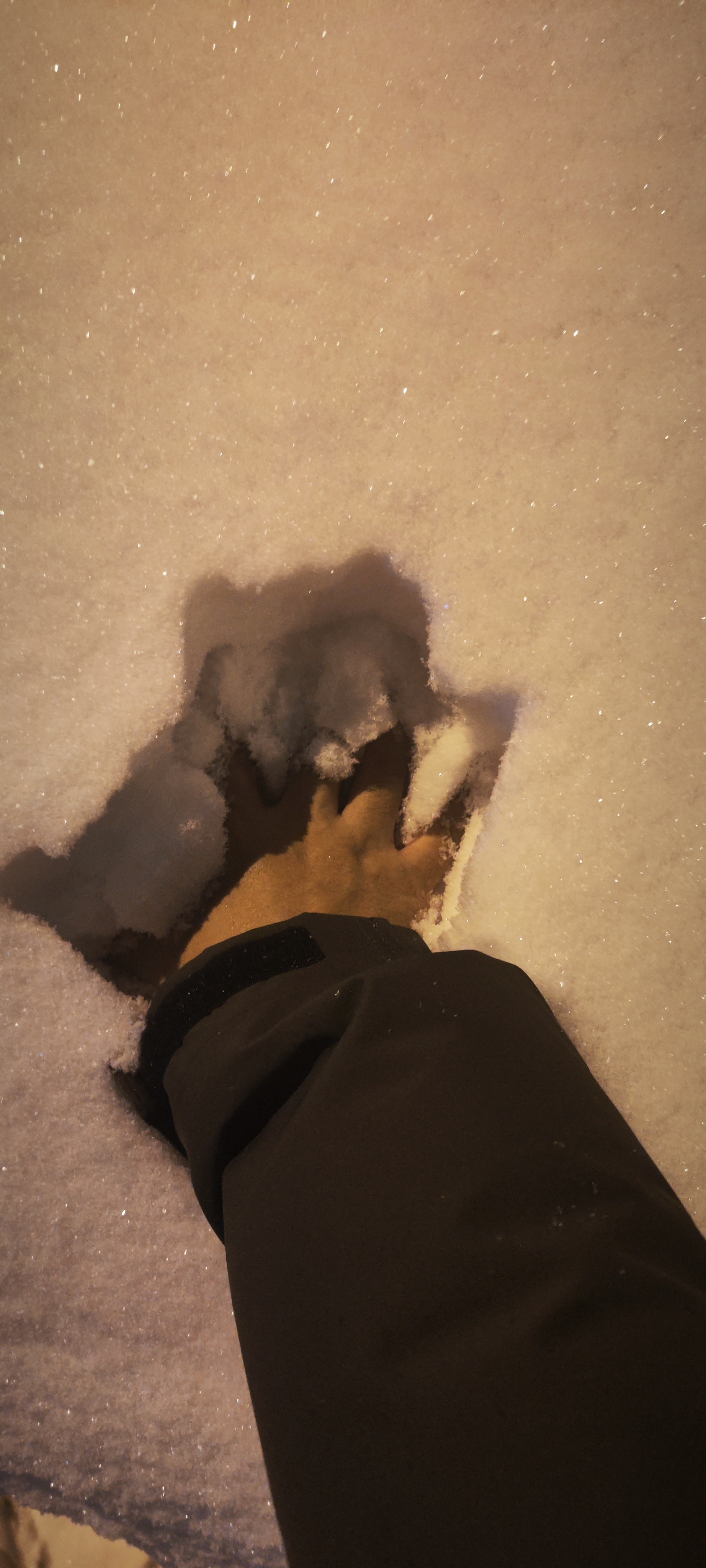 今天北京的雪太离谱了，傍晚到现在几个小时这么厚，西城主城区… ​​​