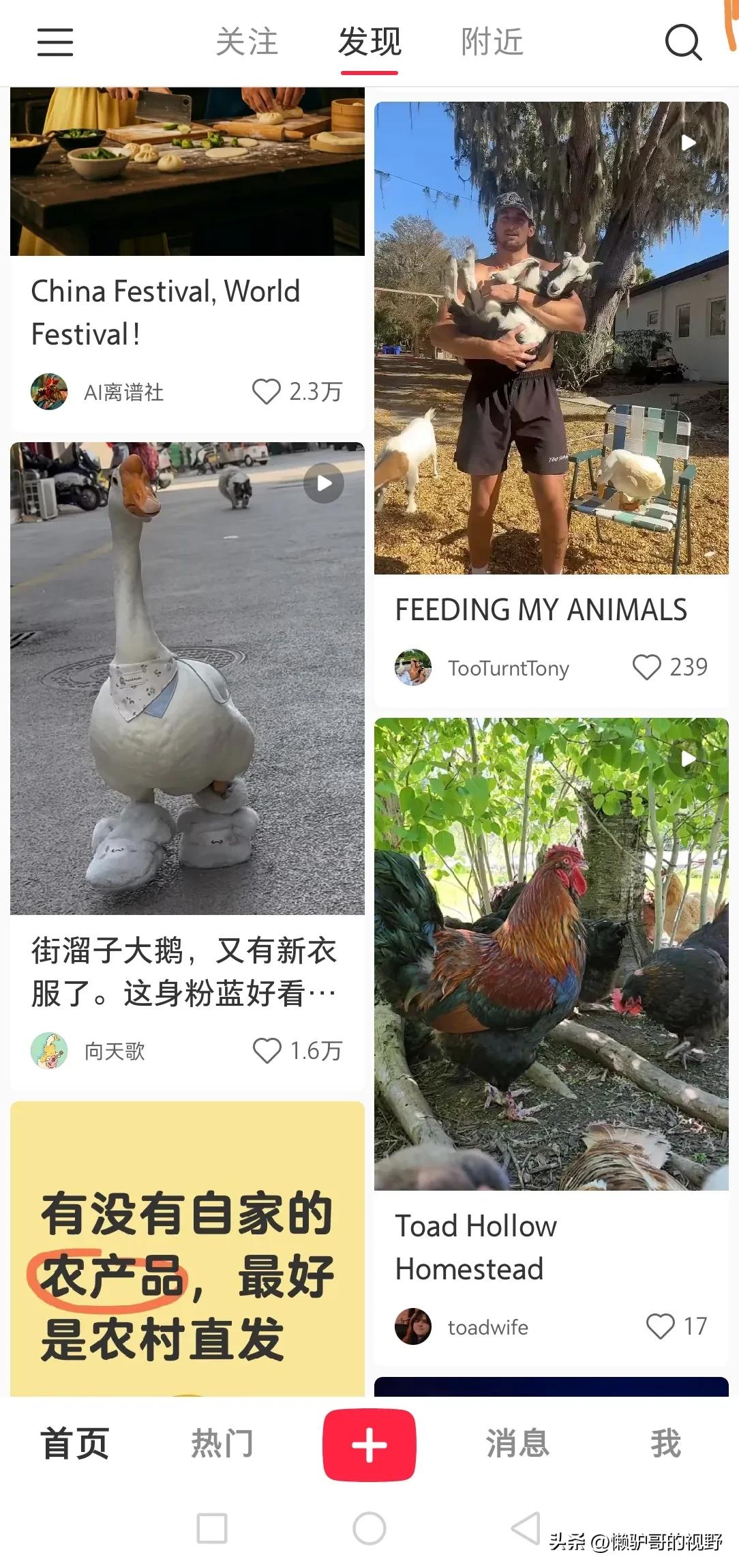 在中国的社交媒体上，一位美国博主发的一个作品，引来世界各地的人共同点赞评论讨论，