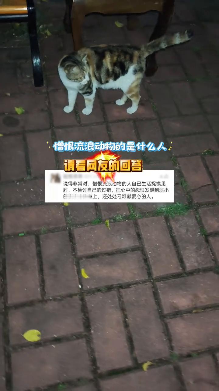 憎恨流浪动物的是什么人？请看网友的回答。
说得非常对，憎恨流浪动物的人自己生活捉