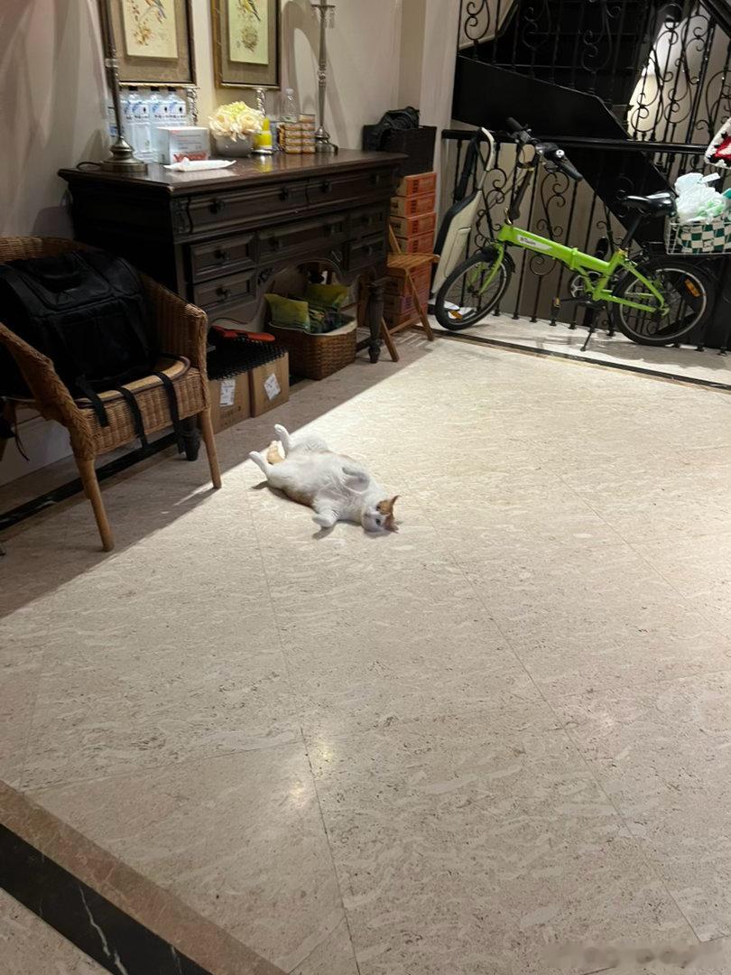 小猴你这么开心？那我把李葵放出来一起开心开心吧？ 