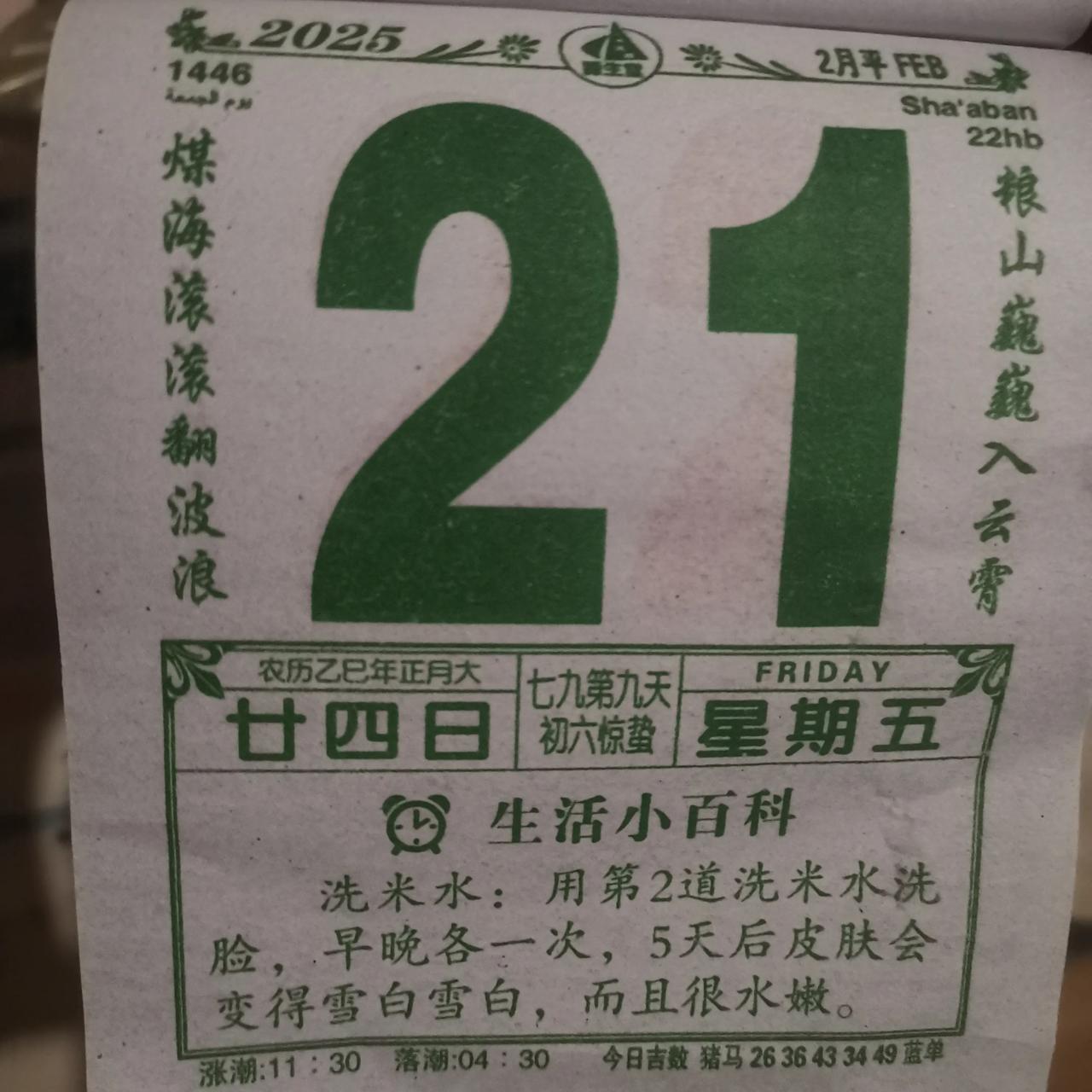 2025.2.21
今天是正月二十四，我母亲说是彭吨的日子，怪不得晚上听到鞭炮响