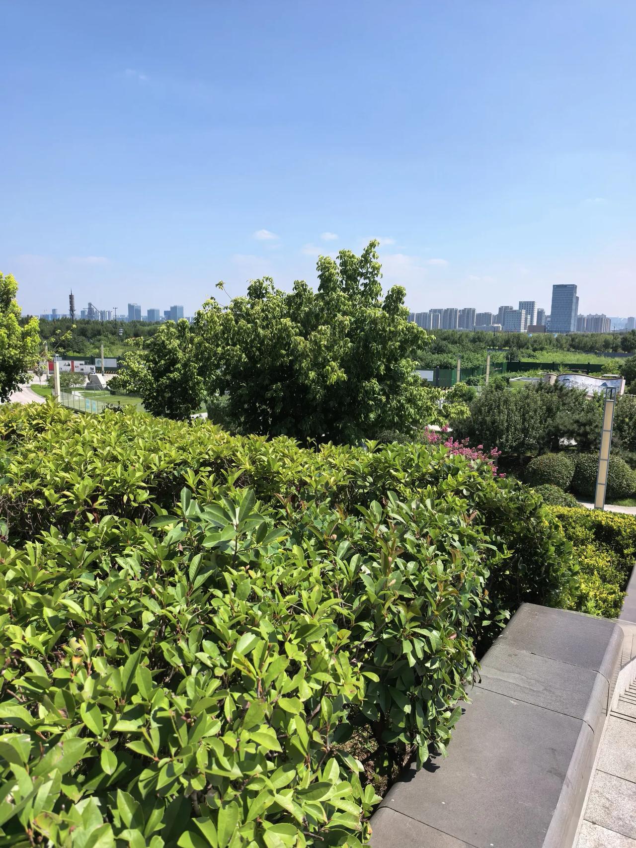 AI复盘:沪电股份A股本周走势分析及展望

一、本周走势回顾

本周（8月3日—