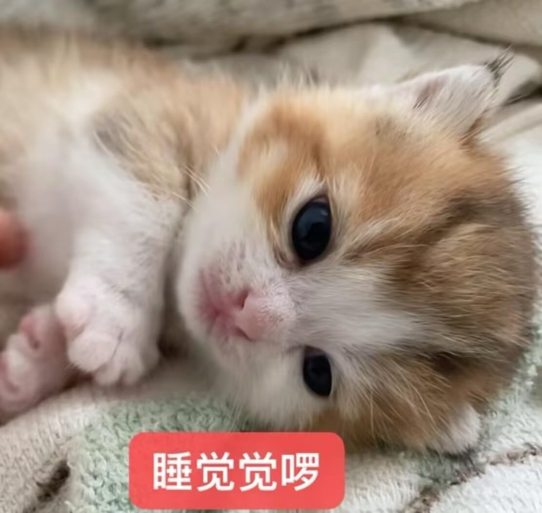 看完爸爸妈妈新的照片安心去睡咯！大家都早点休息今晚！晚安💤（要是我等会还在就是