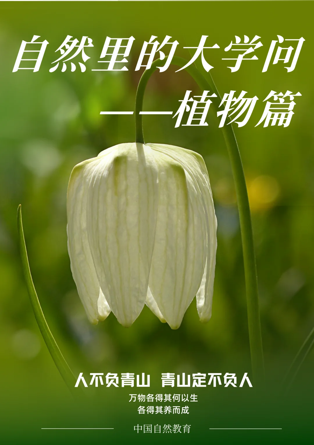 知识科普｜自然里面的大学问——植物篇
