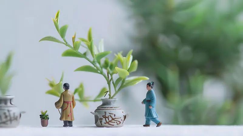 人生九不争，福气自然来
 
1、不和家人，争高低
2、不和小人，争长短
3、不和