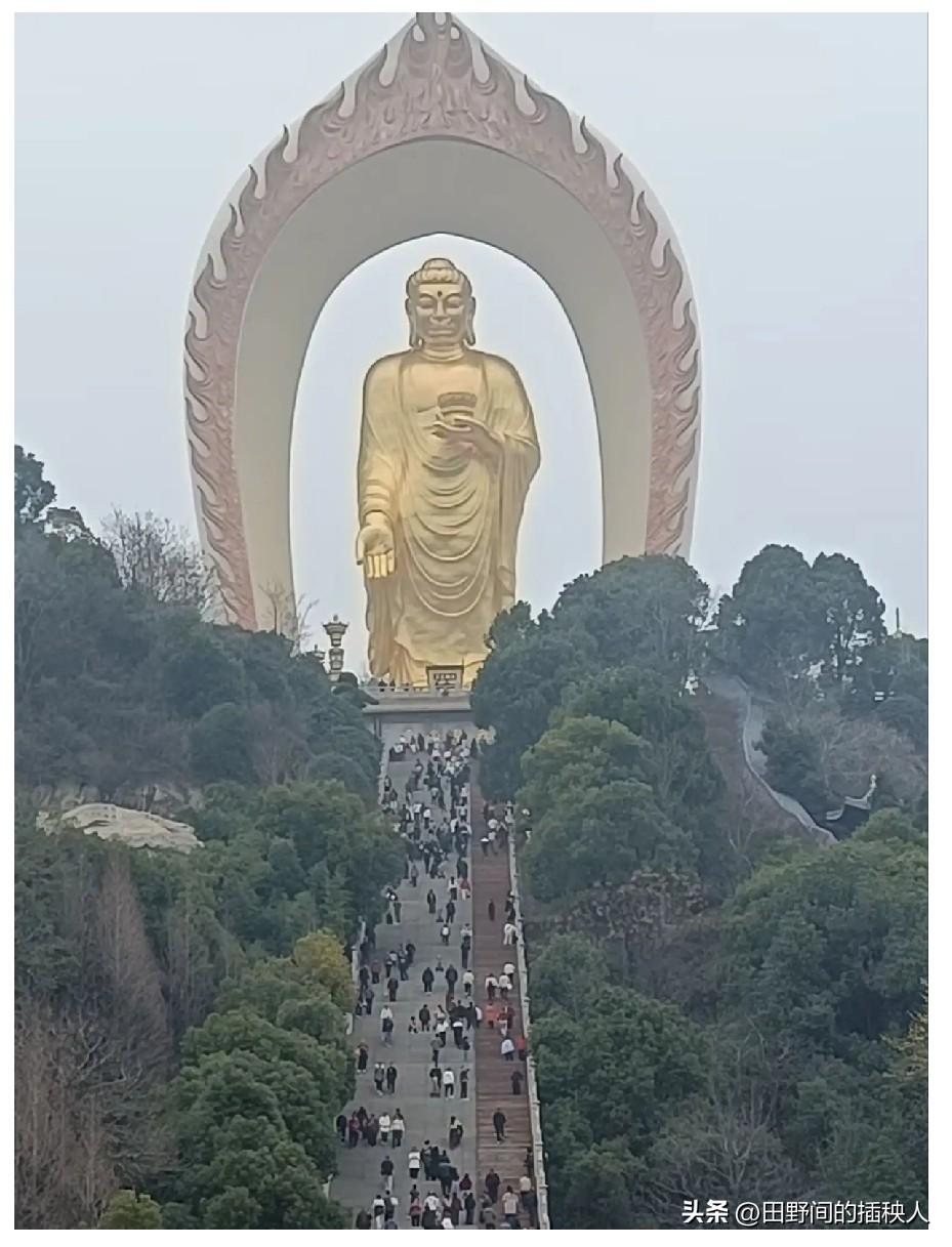 8月12日，迎来罕见的日全食天象。
这场天文奇观国内无法直接观测，隔着屏幕观望，
