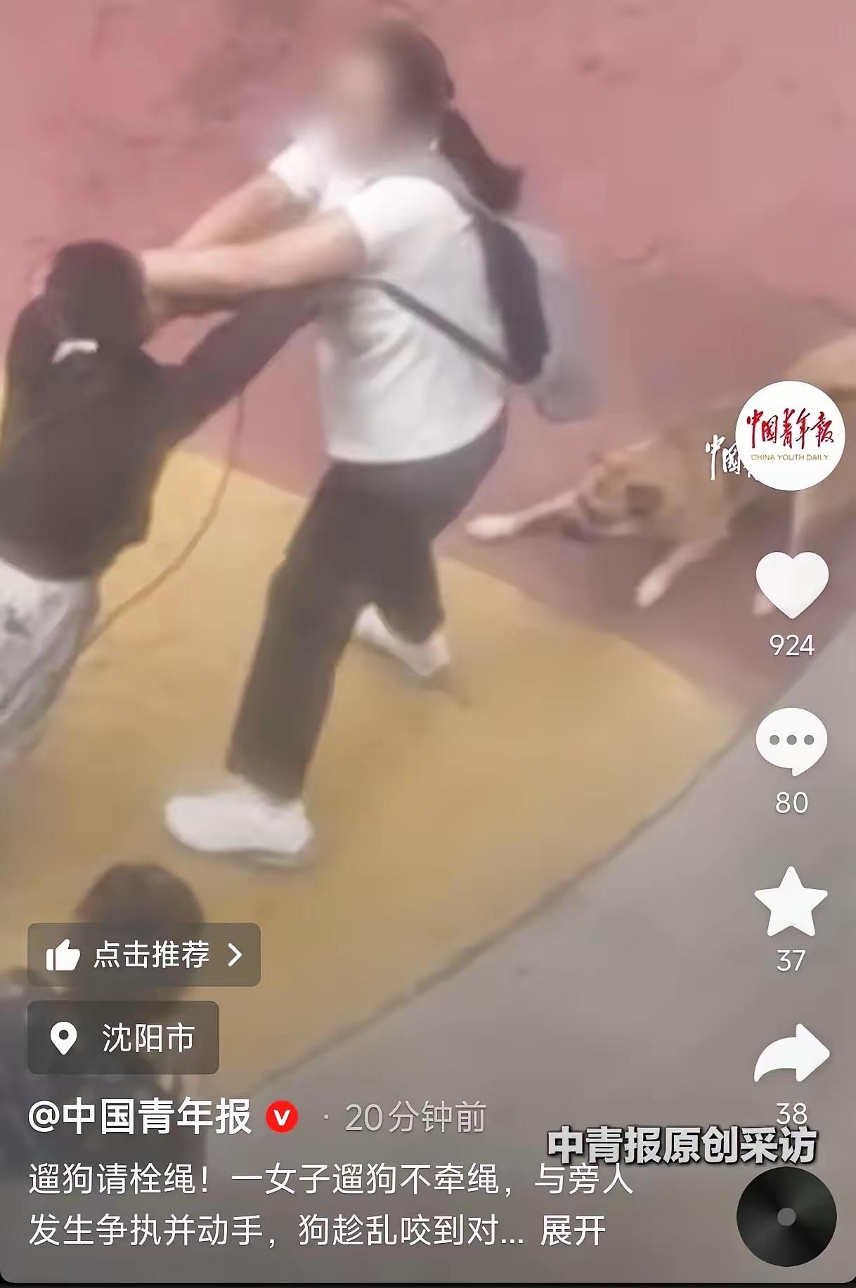 遛两条大狗不拴绳，把人家白衣姑娘吓够呛。人过来讨说法，她倒先动手了，上去就撕巴。