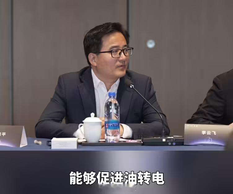 【李云飞辟谣比亚迪不建桩：其实比亚迪是国内早期大规模建桩的车企】比亚迪集团-品牌