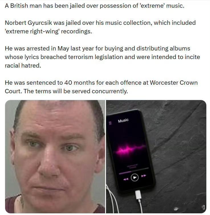 活久见！

一名英国男子因持有“极端”音乐而被判入狱。

诺伯特·久尔奇克因收藏