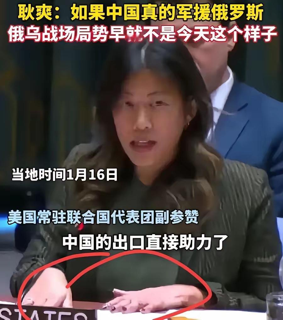 被耿爽硬怼的，美国驻联合国女副参赞，黑头发黄皮肤，像华裔面孔，即使不是，肯定是亚