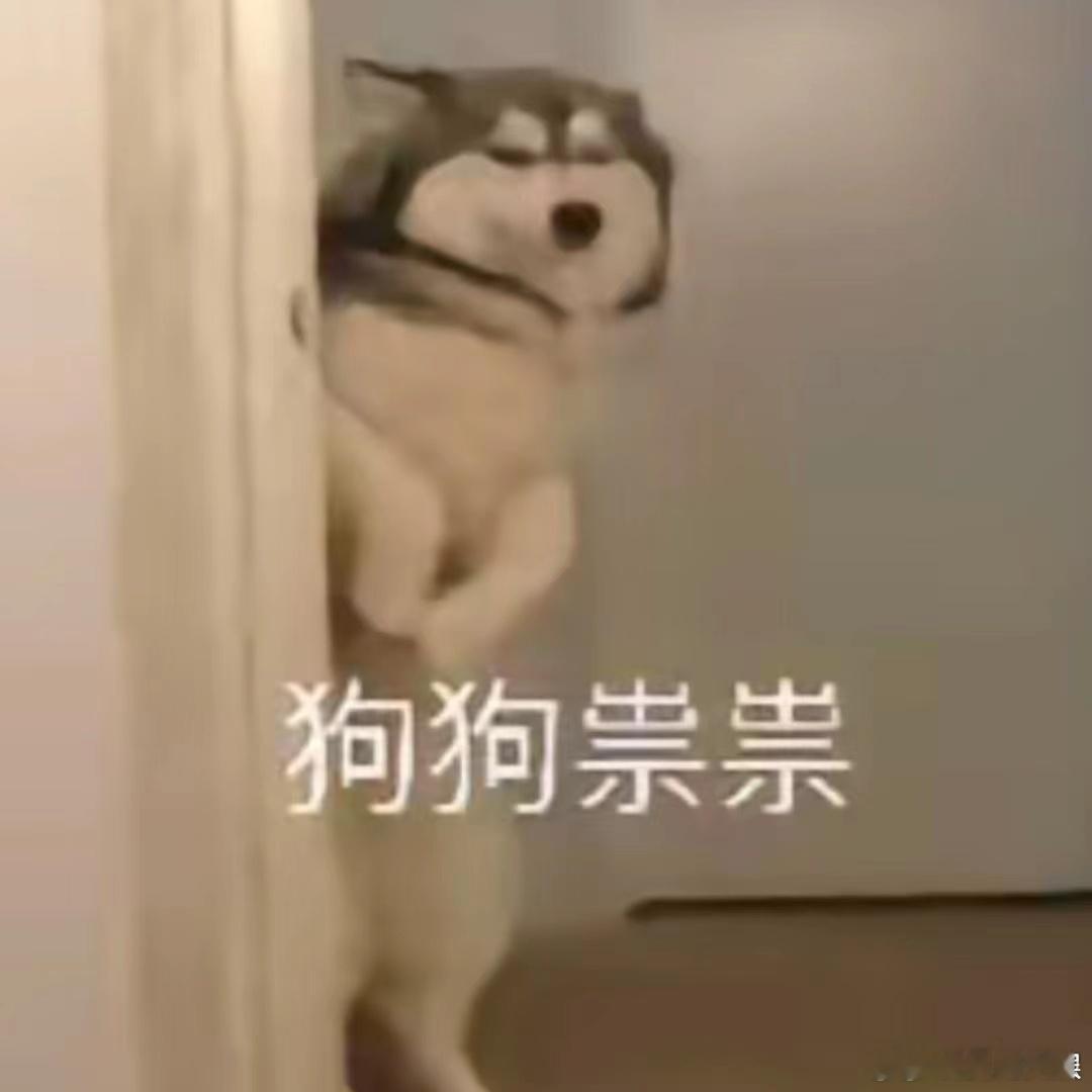 #胡先煦cos狗狗祟祟##胡先煦变脏小孩# ​​​ 哇！胡先煦变成脏小孩也能这么