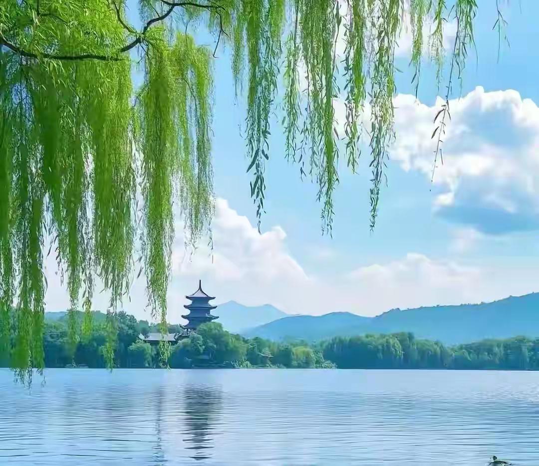 爱上周末
 
终于卸下匆忙的行囊
让时光慢下来，温柔流淌
不必追赶晨光，不必慌张