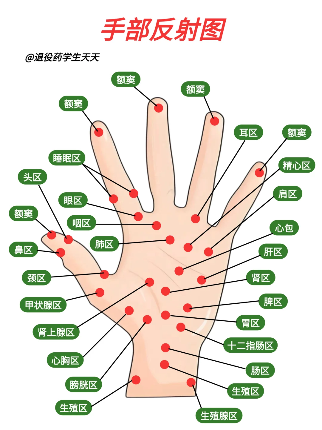 🔥建议人手一份的手部反射图……