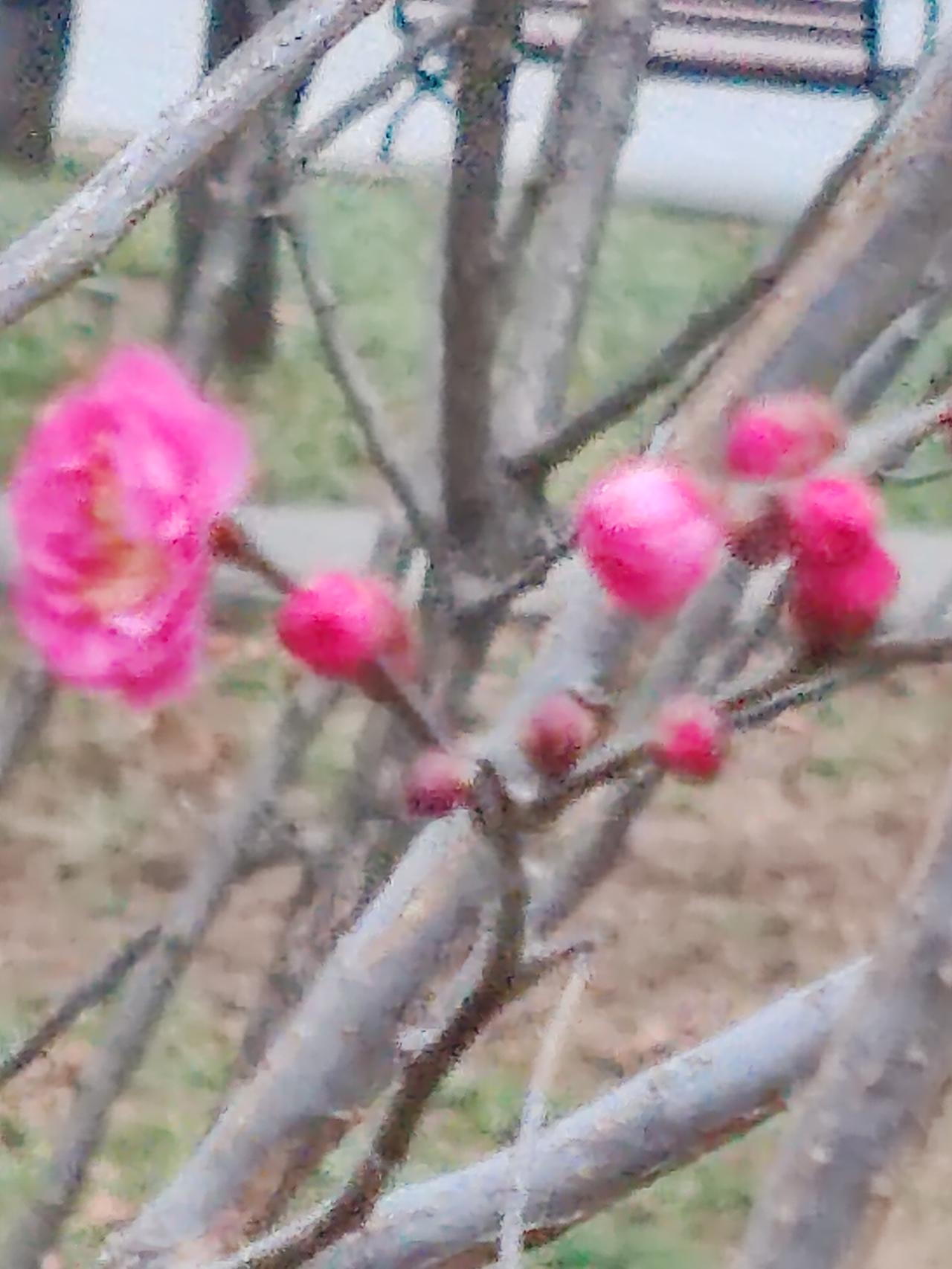 小年的讲究和禁忌，从来都不是封建迷信，而是古人对美好生活的企盼、对家人的祝福，是