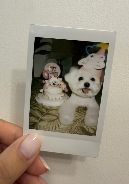 🎉5岁～喀嚓！