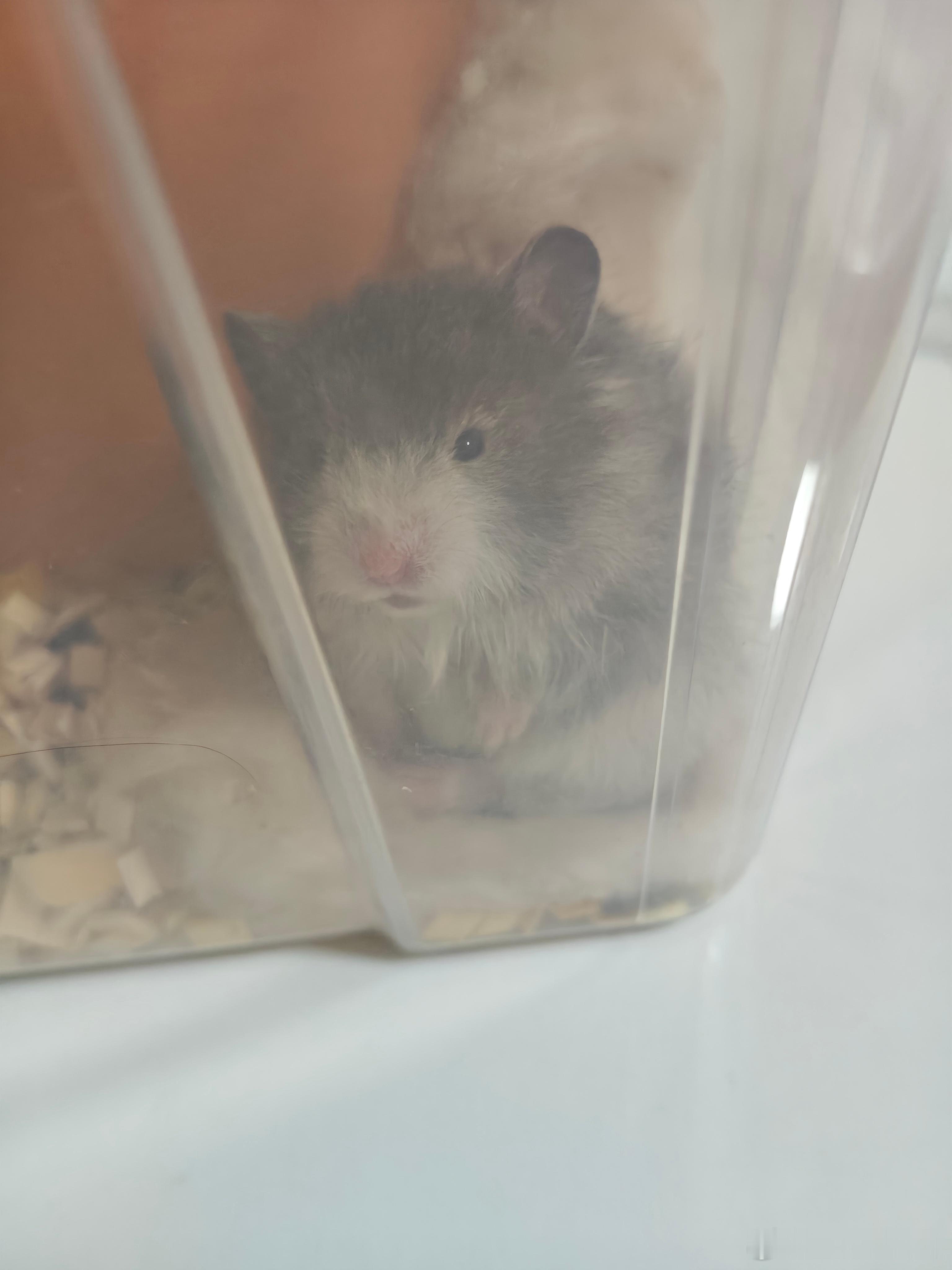 同学们早