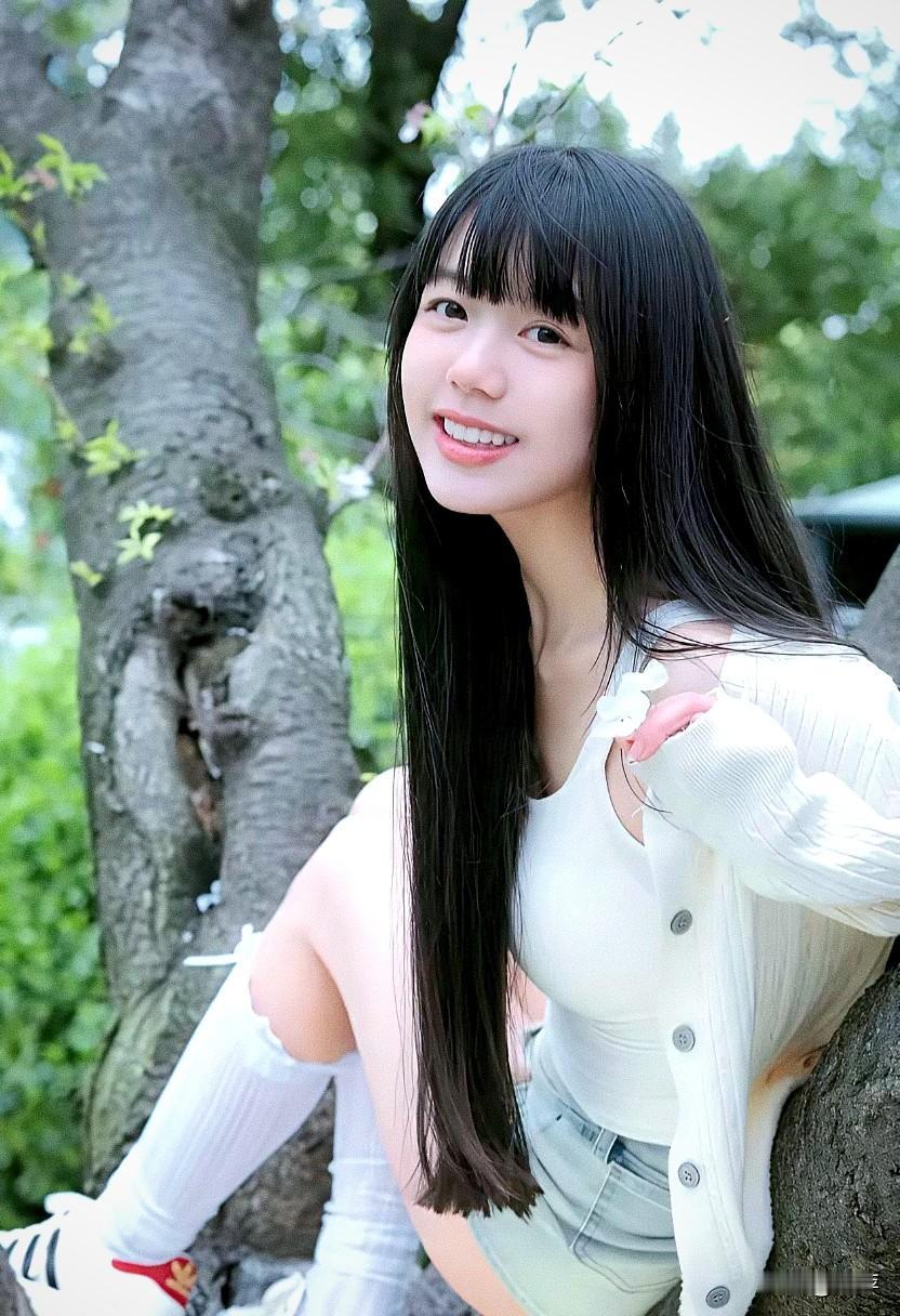 上联：春去花辞树。诚邀下联