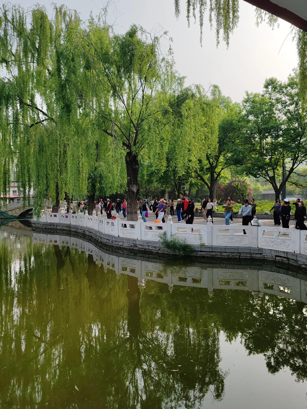 春日生活打卡季春天随手拍于丰台花园。