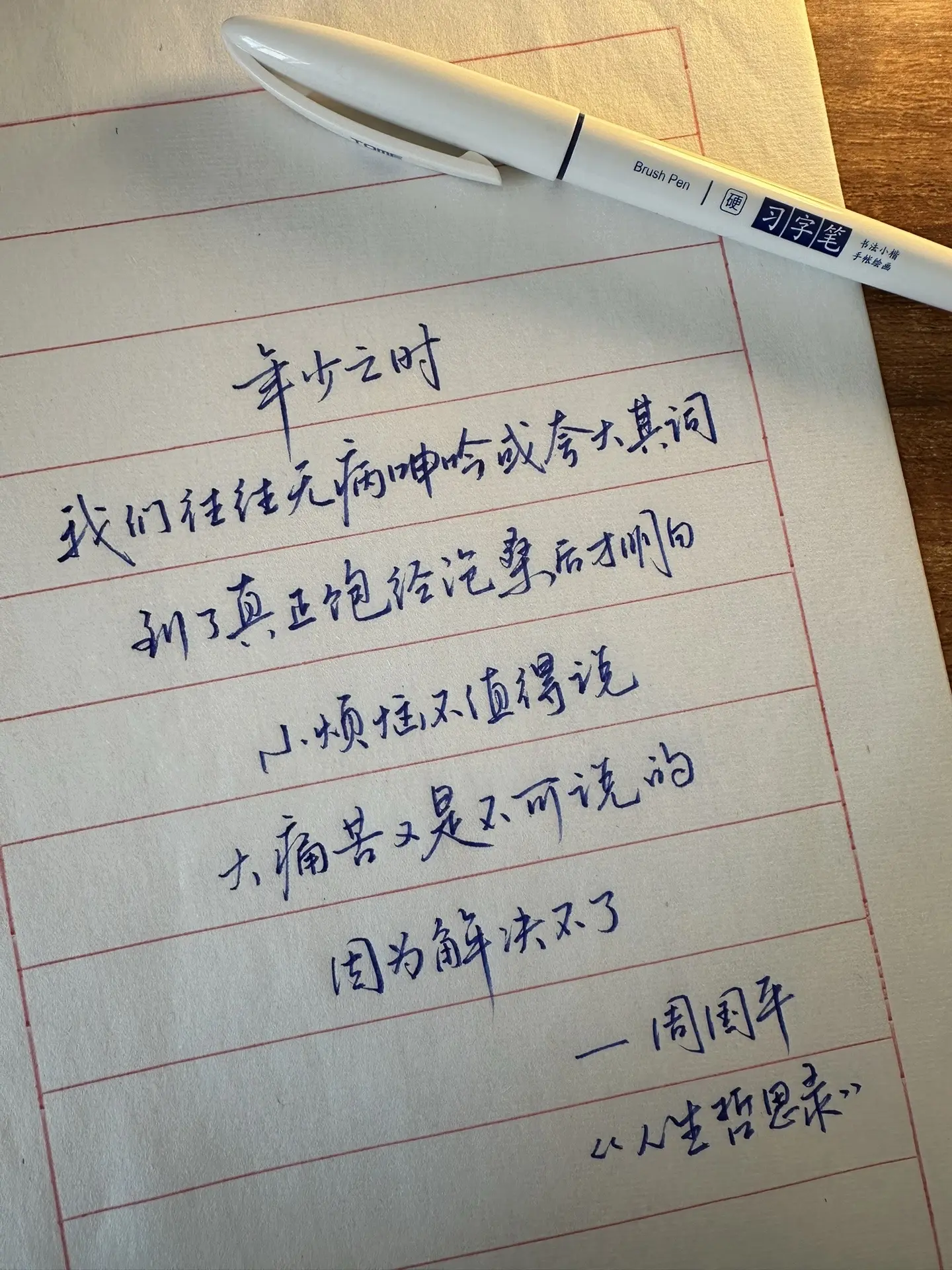 今日摘抄。“年少之时 我们往往无病呻吟或夸大其词 到了真正饱经沧桑后才...