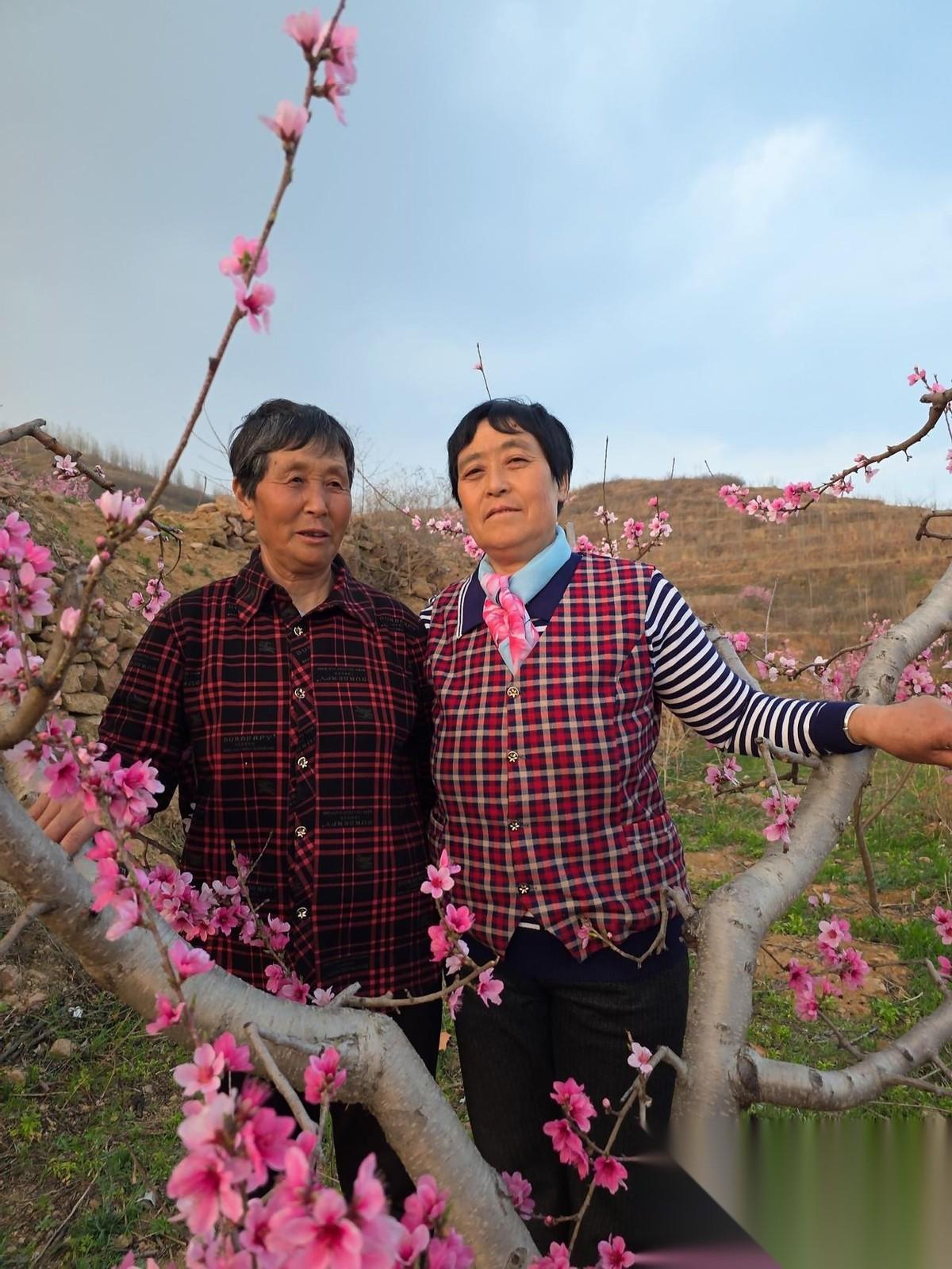 二嫂邀请我，去山上桃园给她的伙伴们拍照，可能让她们失望了……下午四点，正在村北婶