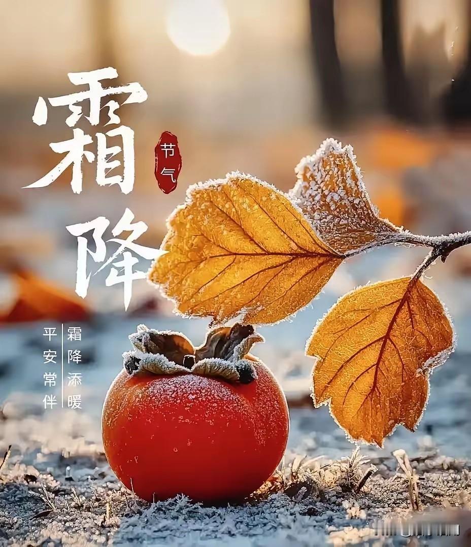 《今日霜降》

树叶渐黄枝挂霜

寒风瑟瑟雾茫茫

雁入云端排成行

笑对寒霜粮