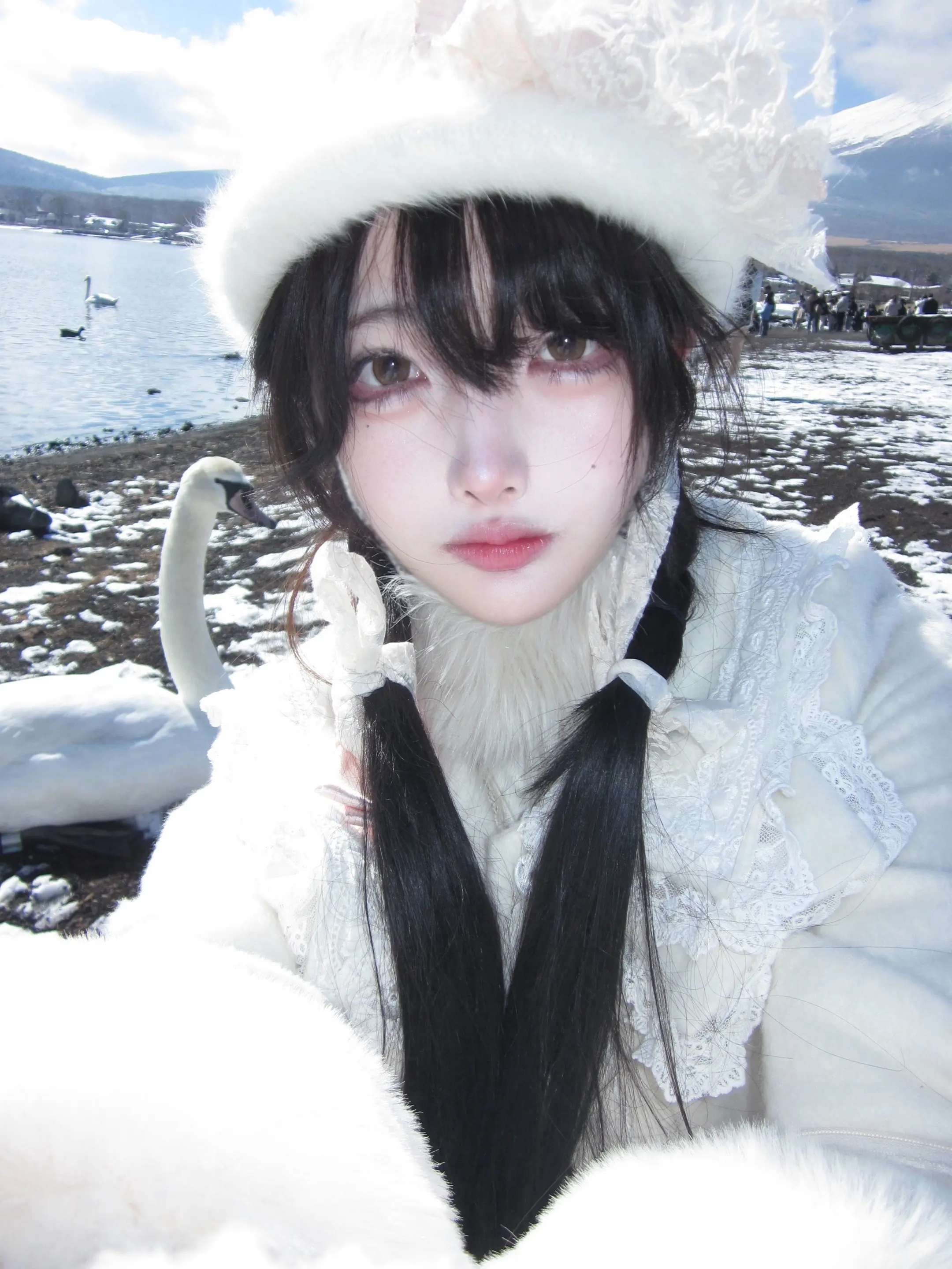 富士山下。遇到了山中湖最温顺的天鹅 -