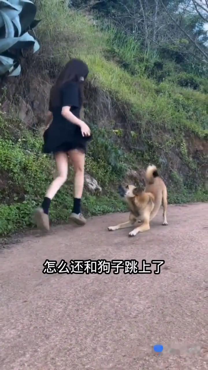 怎么还和狗子跳上了？
百度APP。