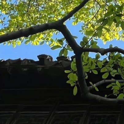 0000哪怕是最没有期望的事情，只要有一个勇敢者去坚持做，到最终就会拥有期望。 