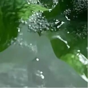 森林驿站  💫阳光信用  💫森林驿站 生活不能等别人来安排，要自已去争取和奋