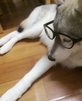 草贵聚聚社会