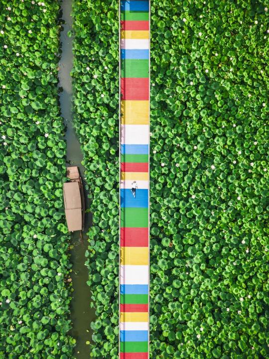 湖州德清，一座被严重低估的宝藏小城❗❗