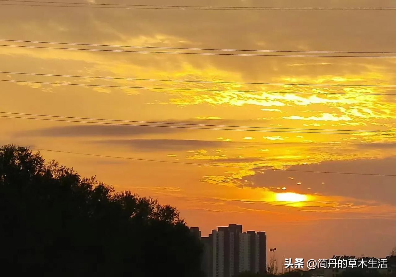 寒夜未眠长，窗外日迟迟。
昨天午间煮了咖啡，晚上又煮了陈皮白茶，料得晚上可能睡不