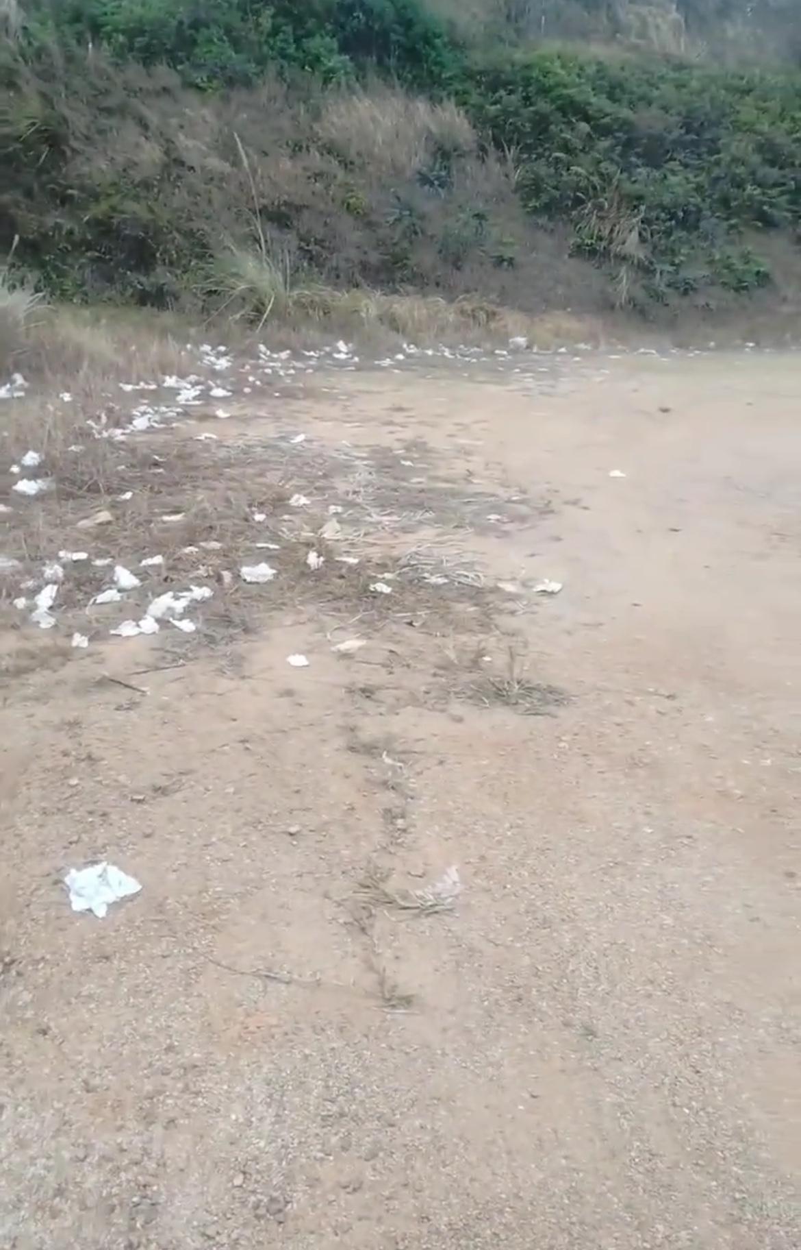 【玉林某景区附近发现很多白色纸巾】

近日，网友爆料称：玉林市的某景区附近发现很