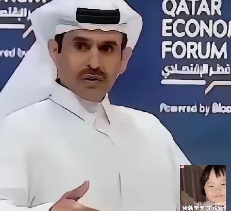 卡塔尔正式宣布暂停跟中国的合同，而且短时间内不会恢复，也就是说现在卡塔尔不给中国