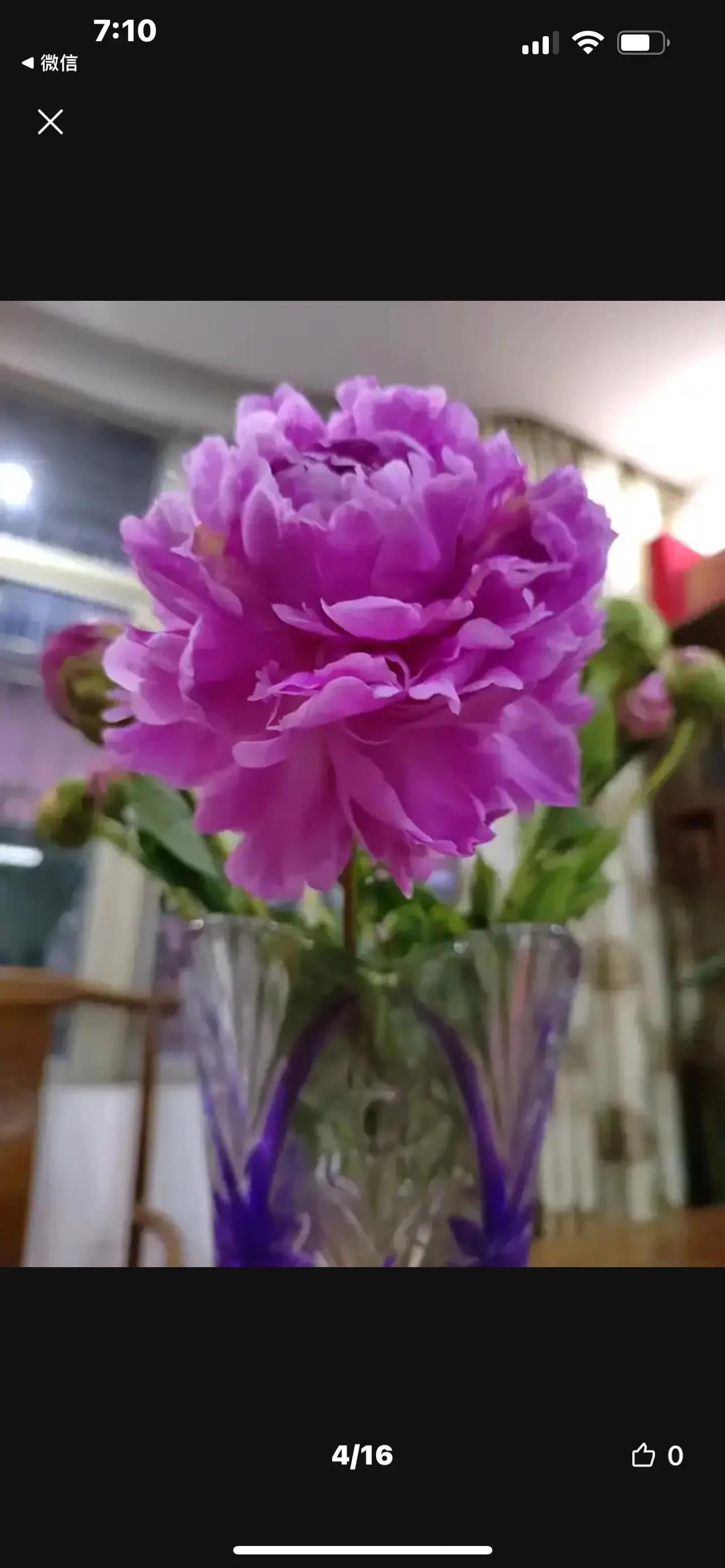 让花是花让树是树 让一切顺利