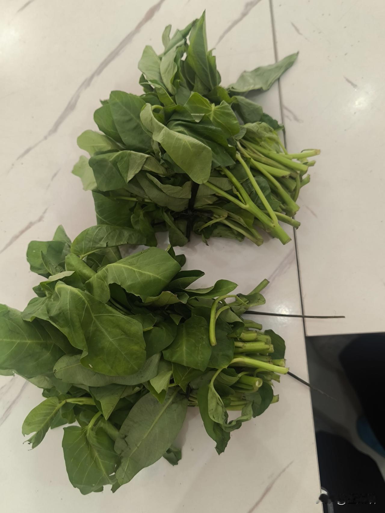 今天逛菜市场，一眼就瞅见这两把绿油油的空心菜，一问价格直接惊了——两把才一块钱！