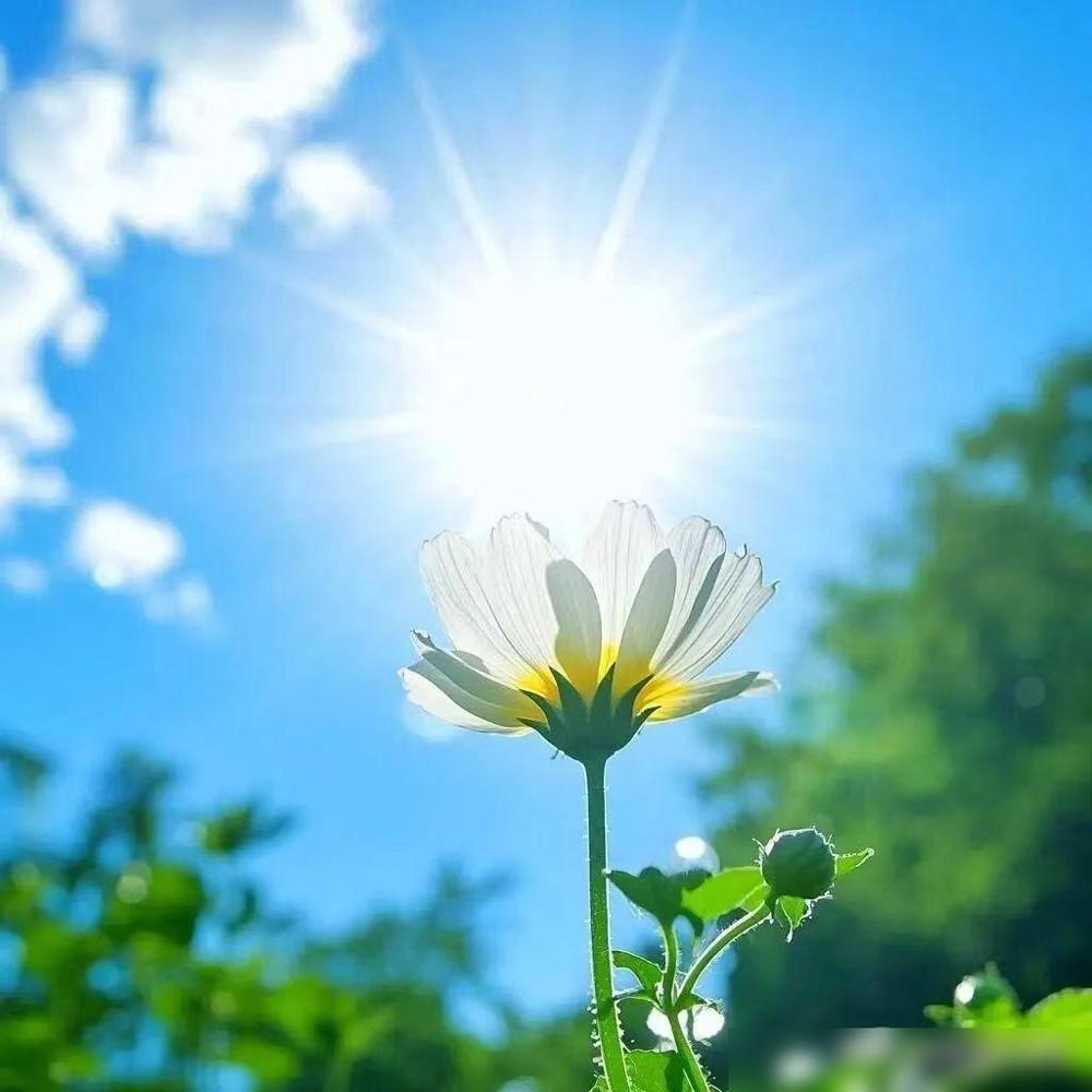 假期最后一天，妹妹两口子风尘仆仆的回来了。他们在青岛工作生活，回来一趟开车单程3