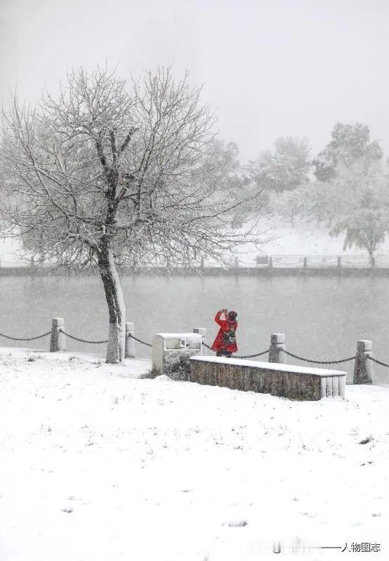 冬日生活打卡季