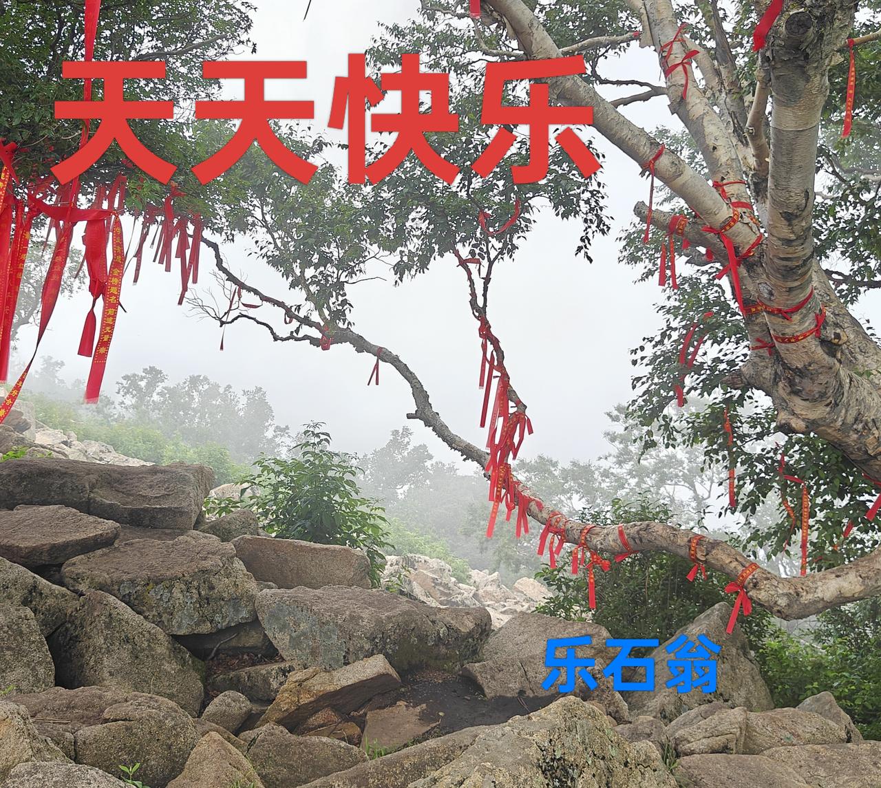 看来以后买空调还得去买格力空调