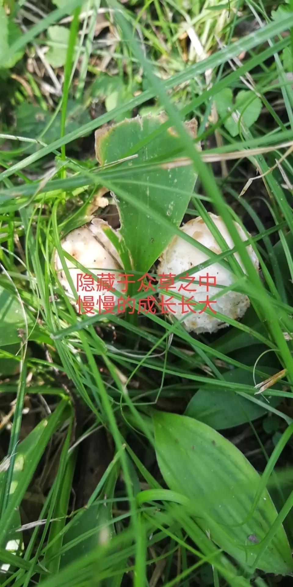 股价上天我也不想啊
炒股的人常常会羡慕那些不断上涨，涨幅十倍的大牛股。后悔自己没