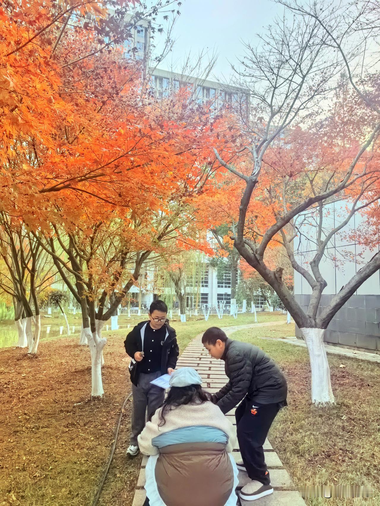 红叶，讨论学习的孩子，校园小路，画面如此美好，氛围如此美好，岁月如此美好，是否刻