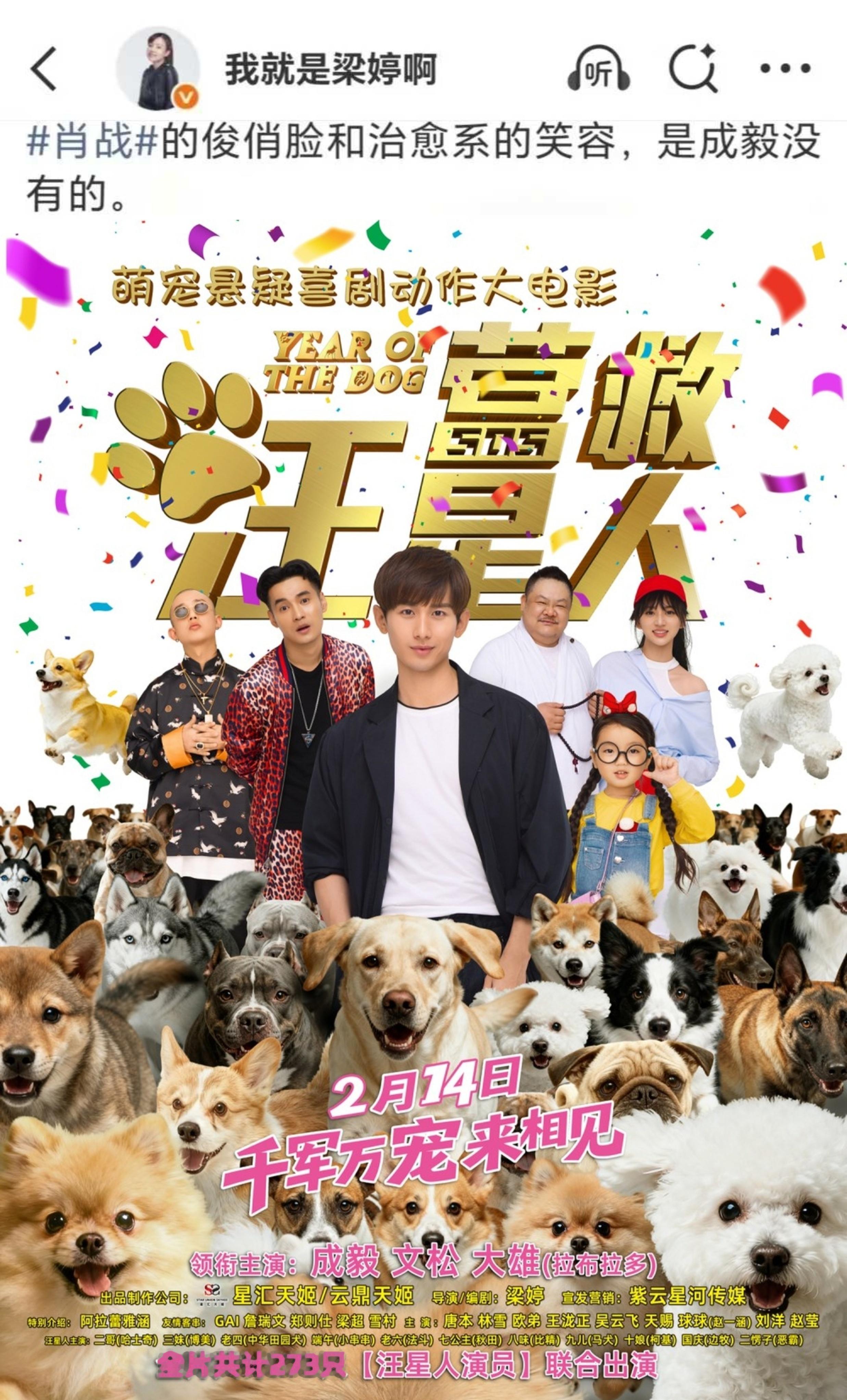 关于电影《拯救汪星人》——我总觉得梁婷女士没有以前聪明了，也可能已经落伍了！以前