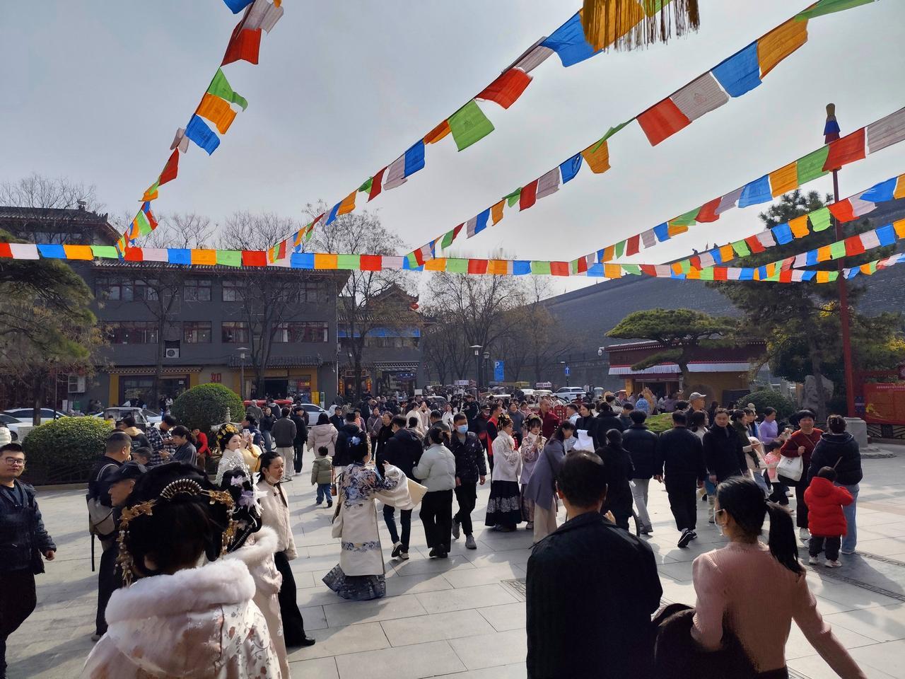 年过完了，大家都收假上班了，广仁寺门口今天人潮涌动！这人气，简直绝了。原本以为只